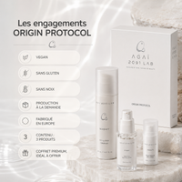 ORIGIN PROTOCOL
